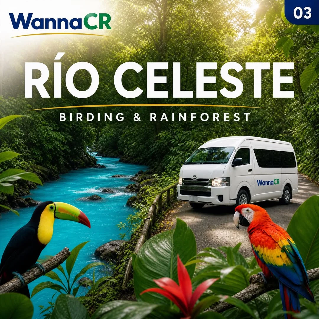 WannaCR illustrative Río Celeste rainforest campaign